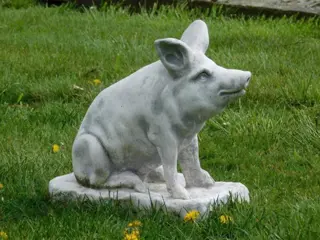 Varken , tuinbeeld