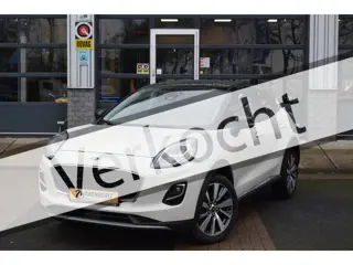 Ford Puma 1.0 EcoBoost Hybrid Titanium X Airco, Navi, TwoTone, Km 93600 !!