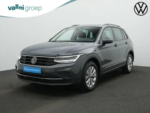 Volkswagen Tiguan 1.4 TSI eHybrid 245 pk Life Business | Stuur-/stoelverwarming | Achteruitrijcamera