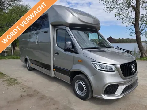 Mercedes-Benz Sprinter 317 AMG XXL 2-paards paardenvrachtwagen B-rijbewijs