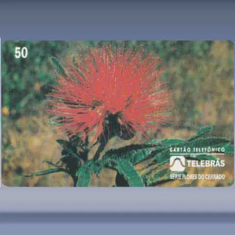 Cigana (1995)