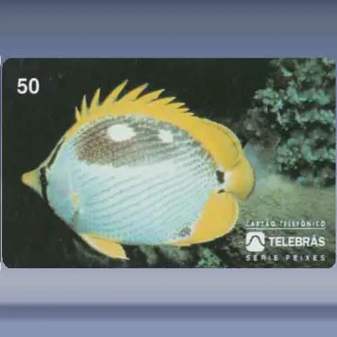 Borboleta (1995)