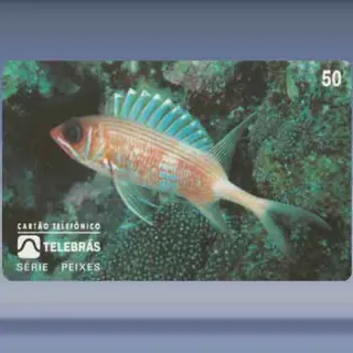 Jaguariça (1995)