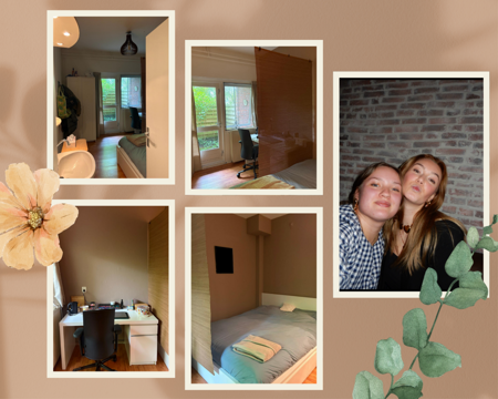 Woning aan de Wollegaast te Leeuwarden