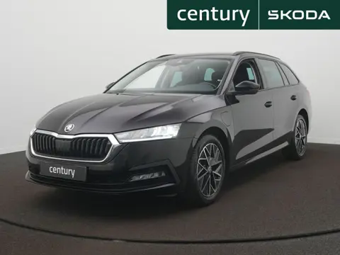 Skoda Octavia 1.4 TSI iV PHEV Business Edition / Stoelverwarming / Cruise / Climate