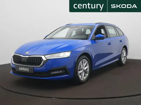Skoda Octavia Combi 1.4 TSI iV PHEV Business Edition / Climate / Cruise / LED