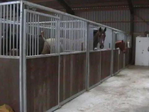 Voorwand + tussenwand paardenbox delux + Lux