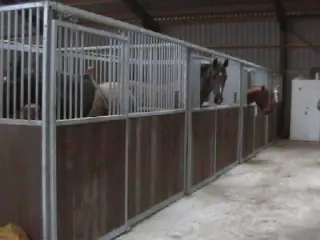 Voorwand + tussenwand paardenbox delux + Lux