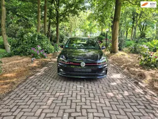 Volkswagen Polo 2.0 TSI GTI