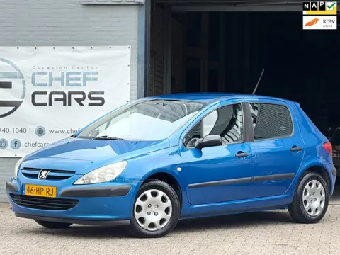 Peugeot 307 1.6|NAP|AIRCO|CARPLAY|5DEURS|DEALER ONDERHOUDEN!