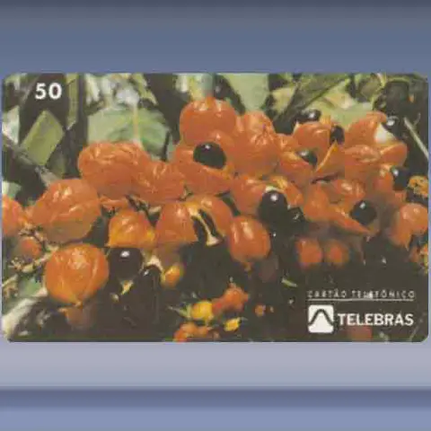 Festa Do Guaraná (1994)