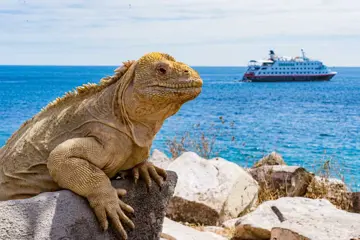 HX Expeditie Galapagos | In de voetsporen van Darwin incl. Machu Picchu