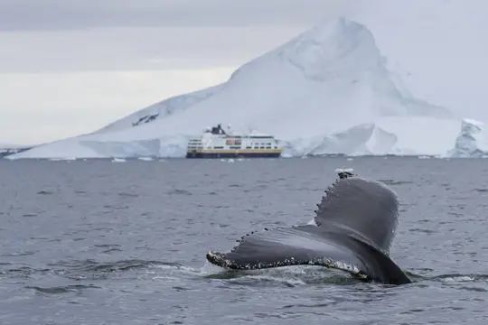 HX Expeditie Antarctica | Beleef de Antarctische Lente