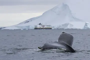 HX Expeditie Antarctica | Beleef de Antarctische Lente