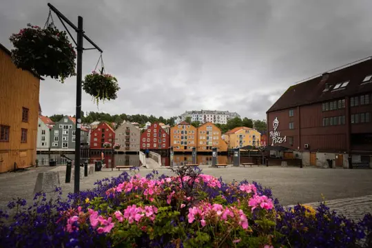 11A Trondheim busexcursie met bezoek aan Nidaros-kathedraal (02jan - 31dec)