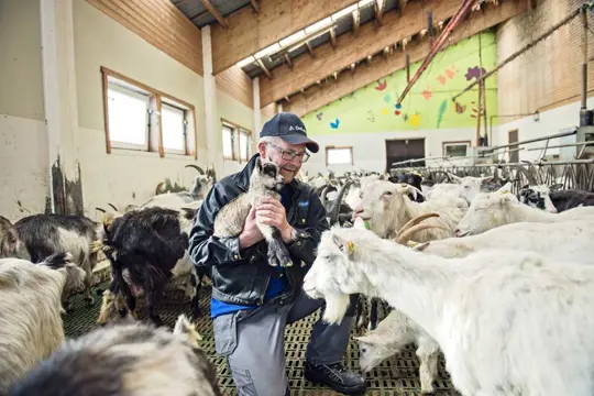 4I Boerderijbezoek op de Lofoten (01apr - 30sept)