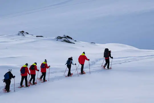 5N Sneeuwschoenwandeling in Tromsø (01dec - 01mei)
