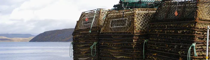 7M King Crab Avontuur - winter (01dec - 20apr)