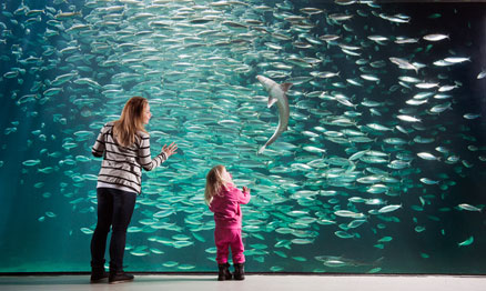 2D Atlanterhavsparken Aquarium en Alesund (01nov - 31mrt)