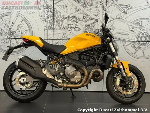 Ducati MONSTER 821 (bj 2019)