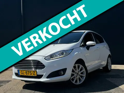 Ford Fiesta 1.0 EcoBoost Titanium | Navi | Climate | NAP
