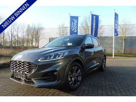 Ford Kuga 150pk ST-Line X Panodak Trekhaak en alle packs