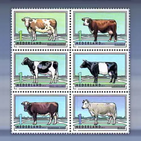 Nederlandse Rundveerassen (2012)