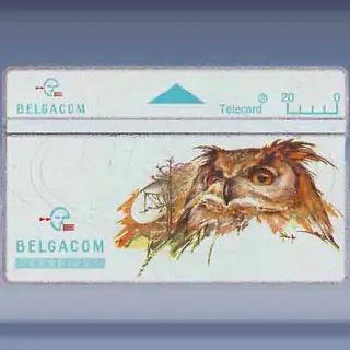 Uil (1994)
