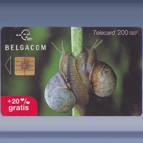 Slakken (2001)