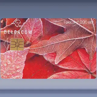 Leaves Red (2000)