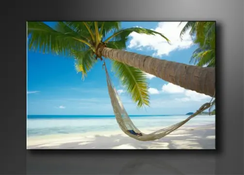 Nieuw canvas schilderij Palmboom 120 x 80 cm