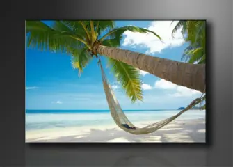 Nieuw canvas schilderij Palmboom 120 x 80 cm