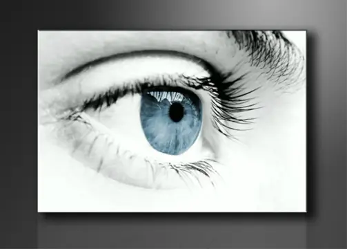 Nieuw canvas schilderij Blauw Oog 120 x 80 cm