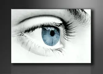 Nieuw canvas schilderij Blauw Oog 120 x 80 cm
