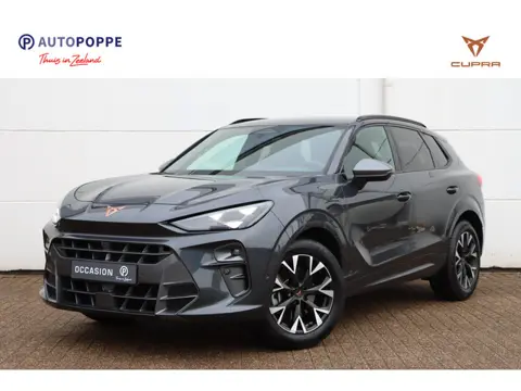CUPRA Terramar 1.5 TSI e-Hybrid Business DSG6 204pk
