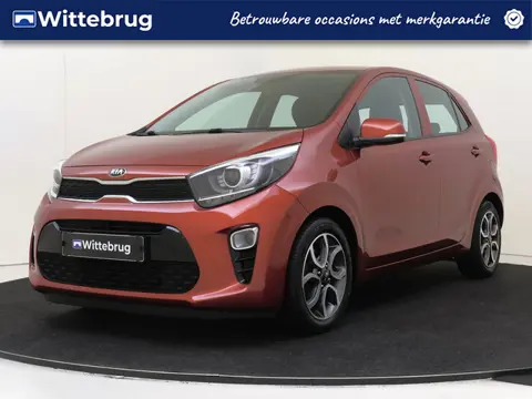 Kia Picanto 1.2 CVVT First Edition AUTOMAAT! (bj 2017)
