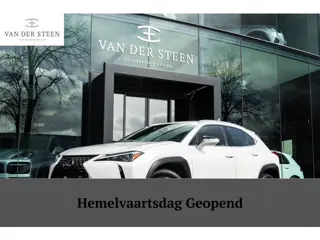 Lexus UX 250h Business Line | Groot Scherm | Camera
