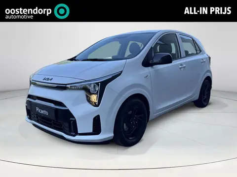 Kia Picanto 1.0 GDi 50 Jaar Oostendorp Jubileum Editie | Zwarte Accenten | LMV