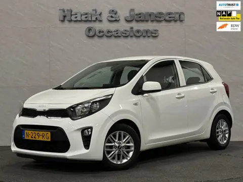 Kia Picanto 1.0 DPi DynamicLine - Cruisecontrol - Carplay - Camera