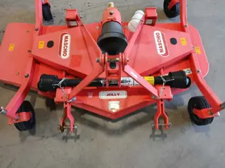 Maschio weilandbloter