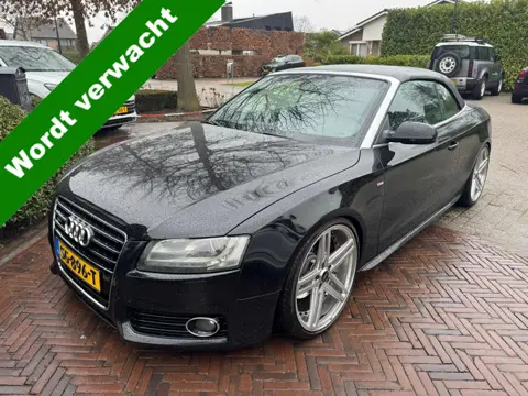 Audi A5 Cabriolet 3.0 TDI quattro Pro Line (bj 2009)
