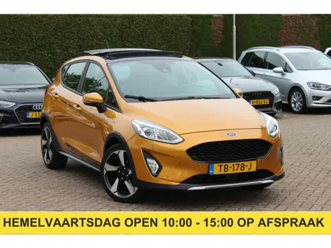 Ford Fiesta 1.0 EcoBoost Active First Edition Panoramadak / Parkeerhulp achter / Navigatie / DAB / A