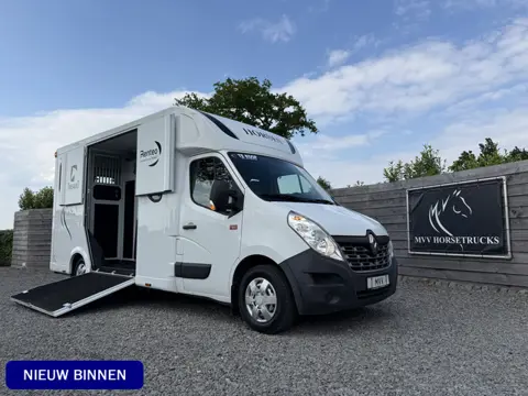 Renault Master | HORSETRUCK | THEAULT | STALLION 5XL | 2018 | HENGST | DUB CAB | MANUEL | 170PK | L3
