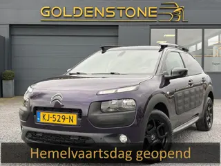 Citroen C4 Cactus 1.2 PureTech Business Plus 2e Eigenaar,Pano,Camera,Navi,Trekhaak,Pdc V+A,Clima,Cru