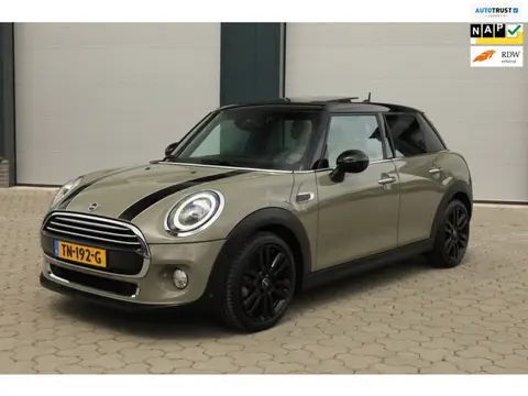 Mini Mini 1.5 Cooper Chili Pano LED Sportstoel
