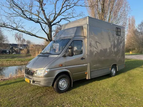 Mercedes-Benz Sprinter 308 CDI 2.2 355 Automaat Paardenwagen