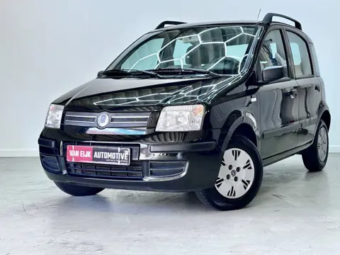 Fiat Panda 1.2 Edizione Cool