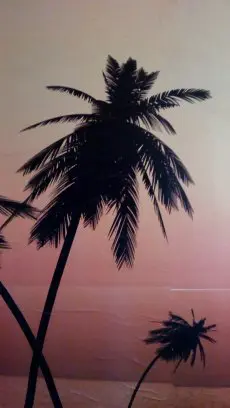 zoek dame voor spannend contact