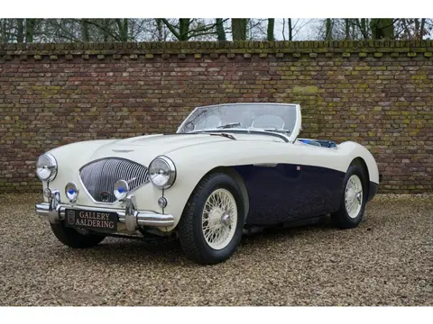 Austin Healey 100/4 BN1 100M-spec, Denis Welch cilinder head, fully restored condition, Fantastic ex