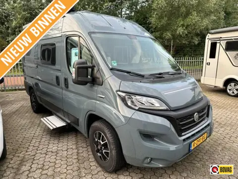 Trigano Mini Freestyle  Randger Van 540